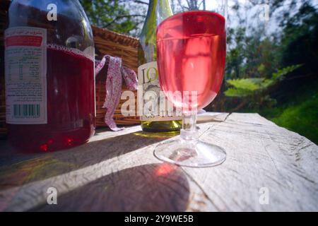 Bicchiere di vino rosato con bottiglie e cestino da picnic all'aperto Foto Stock