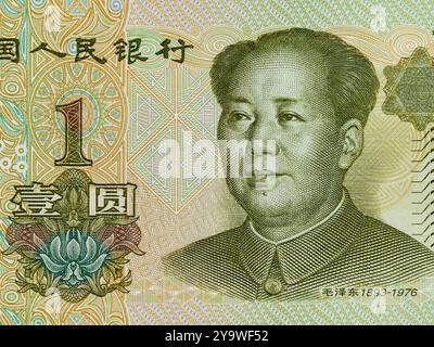 Ritratto di Mao Zedong sul lato anteriore, insieme a un fiore di orchidea dalla banconota verde di ¥1 Yuan Foto Stock