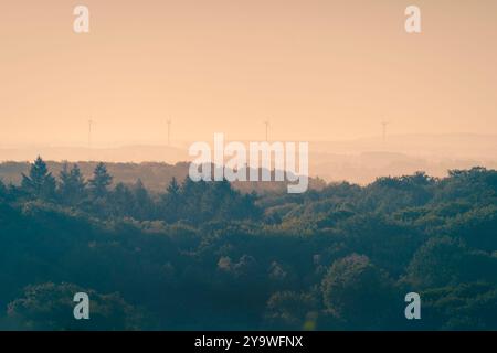 Vista dalle colline dell'Hoge Veluwe nelle vicinanze della città di Arnhem con vista sulla zona di confine con la Germania e la valle del Reno Foto Stock