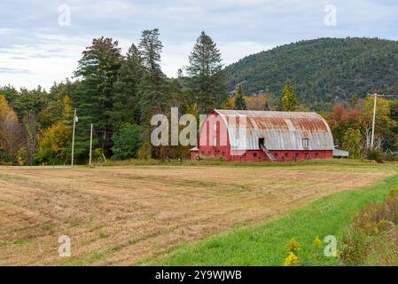 Vecchio fienile di legno rosso con un tetto in metallo arrugginito all'estremità di un campo di raccolta in montagna in una nuvolosa giornata autunnale Foto Stock