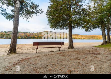 Panchina di legno vuota su una spiaggia sabbiosa su un lago di montagna con coste boscose in autunno Foto Stock