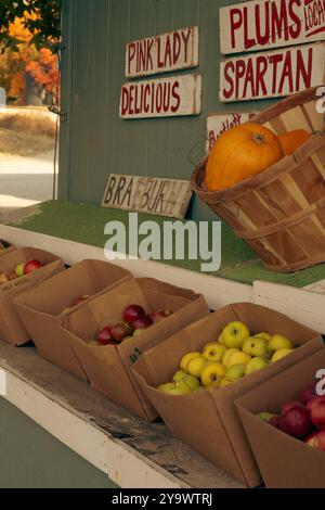 Cestini di Apple Foto Stock