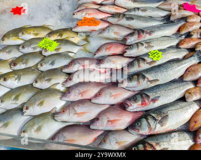 Pesce fresco e frutti di mare in vendita al St George's Market, Belfast, Irlanda del Nord. Foto Stock