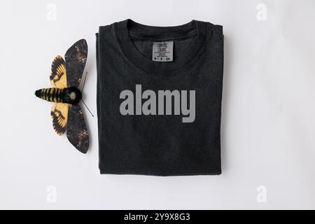 Immagini piatte dei colori gildan comfort della maglietta c1717 Foto Stock