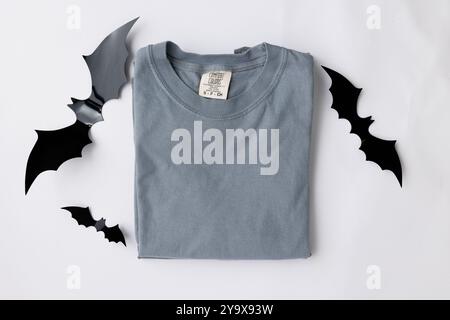 Immagini piatte dei colori gildan comfort della maglietta c1717 Foto Stock