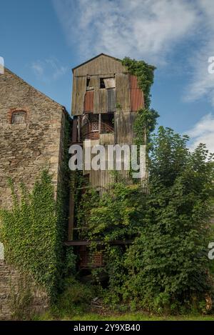 Torre in rovina coperta da teli ondulati in amianto e ricoperta di edera. Le sue pareti sbriciolate e intemperie riflettono uno stato di abbandono e di inondazione Foto Stock