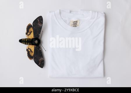 Immagini piatte dei colori gildan comfort della maglietta c1717 Foto Stock