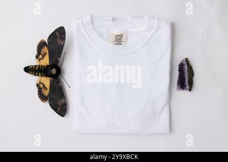 Immagini piatte dei colori gildan comfort della maglietta c1717 Foto Stock