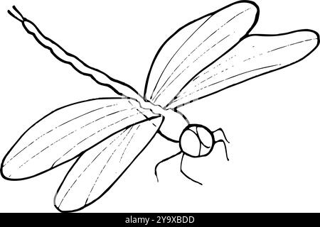 Illustrazione monocromatica isolata di insetti Flying Dragonfly. Disegno in bianco e nero di Damselfly line art. Elemento disegnato a mano per tatuaggio, icona, g Illustrazione Vettoriale