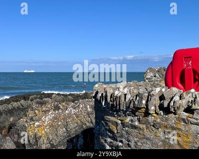 Nave da crociera residenziale Villa vie Odyssey a Belfast Lough vicino a Bangor Foto Stock