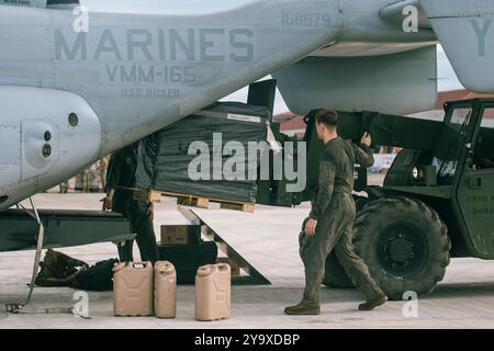 Laoag City, Filippine. 9 ottobre, 2024. I Marines statunitensi con la forza rotativa-Sud-Est asiatico caricano pallet di forniture di soccorso su un aereo tiltrotor MV-22B Osprey, per assistere alle conseguenze del Super Typhoon Krathon all'Aeroporto Internazionale di Laoag, 9 ottobre 2024 a Laoag City, Ilocos Norte, Filippine. I Krathon colpirono la regione con venti di 120 mph e cadendo 28 pollici di pioggia. Crediti: Sergente Amelia Kang/US Marines/Alamy Live News Foto Stock