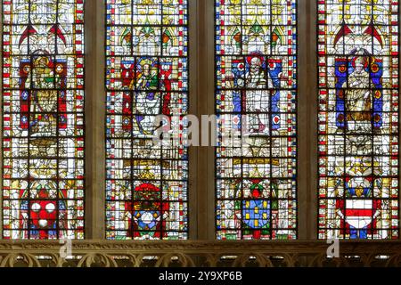 Francia, Meurthe et Moselle, Toul, cattedrale di Saint Etienne costruita tra il XIII e il XVI secolo in stile gotico sgargiante, dettaglio della parte inferiore della vetrata del transetto settentrionale realizzata nel 1503 da Jean le Verrier che rappresenta da sinistra a destra e dall'alto in basso Saint Etienne, la Vergine che tiene il bambino, Santa Giovanna Battista e San Gerardo, lo stemma di tre donatori il capitolo, cardinale Raymond Perraud, Canon Nicolas le sane e lo stemma di Saint Gerard Foto Stock