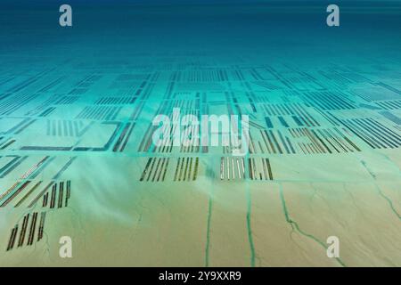 Francia, Ille-et-Vilaine, Cancale, vista aerea grafica delle ostriche vicino alla città nella baia di Mont Saint-Michel (vista aerea) Foto Stock