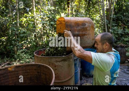 Colombia, dipartimento di Meta, laboratorio clandestino di lavorazione della coca nel cuore dell'Amazzonia, la foglia di coca viene mescolata con cemento, benzina, acido cloridrico per ottenere la pasta di coca (pasta) detta anche base che è la prima fase di lavorazione prima di ottenere la cocaina Foto Stock