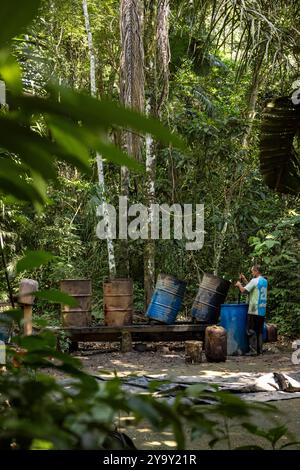 Colombia, dipartimento di Meta, laboratorio clandestino di lavorazione della coca nel cuore dell'Amazzonia, la foglia di coca viene mescolata con cemento, benzina, acido cloridrico per ottenere la pasta di coca (pasta) detta anche base che è la prima fase di lavorazione prima di ottenere la cocaina Foto Stock