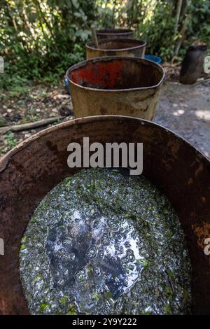 Colombia, dipartimento di Meta, laboratorio clandestino di lavorazione della coca nel cuore dell'Amazzonia, la foglia di coca viene mescolata con cemento, benzina, acido cloridrico per ottenere la pasta di coca (pasta) detta anche base che è la prima fase di lavorazione prima di ottenere la cocaina Foto Stock