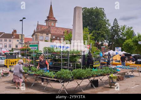 Francia, Saone e Loira, Bresse borgognona, Louhans, il mercato agricolo, produttore di piante vegetali Foto Stock