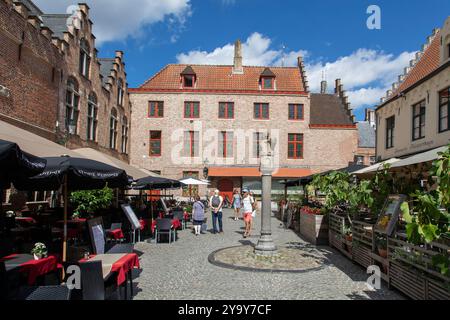 Belgio, Fiandre occidentali, Bruges, centro storico patrimonio dell'umanità dell'UNESCO, Piazza dei conciatori (Huidenvettersplein) soprannominata il piccolo mercato del pesce, scultura che rappresenta 2 leoni che tengono lo scudo conciante Foto Stock