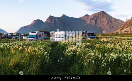 Campeggio circondato da campi verdi e montagne durante il sole di mezzanotte, creando un'atmosfera serena e tranquilla in Norvegia. Foto Stock