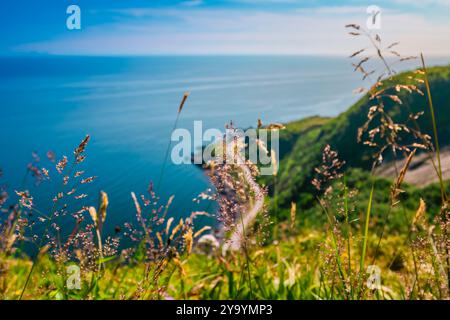 Una splendida vista di un fiordo norvegese circondato da torreggianti montagne, che si riflettono nelle calme acque blu, sotto un cielo limpido. Foto Stock