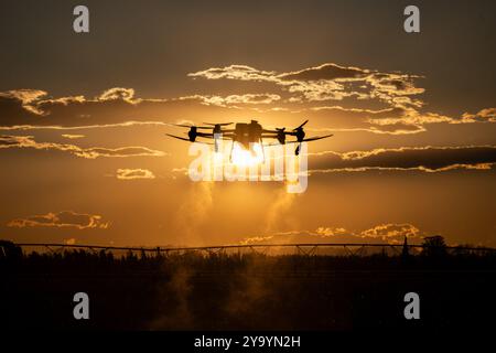 Il drone agro lavora sul campo. Trattamento sul campo con sostanze chimiche. Irrorazione di pesticidi contro i parassiti. Innovazioni nel settore agricolo. Nuovo Technolo Foto Stock