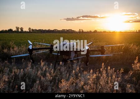 Drone agricolo in un campo seminato, al tramonto Foto Stock