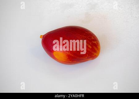 Manghi brasiliani della specie Palmer, maturi e isolati Foto Stock