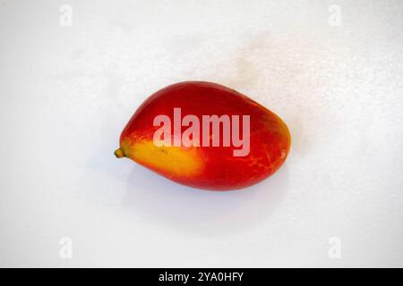 Manghi brasiliani della specie Palmer, maturi e isolati Foto Stock