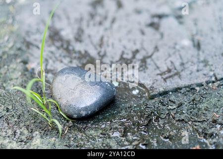 Una pietra di colore grigio scuro e liscia poggia su una superficie bagnata e ruvida con macchie di erba che crescono nelle vicinanze. La scena cattura un momento naturale e sereno con il wate Foto Stock