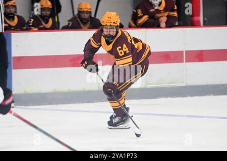 Columbus, Ohio, Stati Uniti. 11 ottobre 2024. Il difensore del Minnesota Krista Parkkonen (64) gestisce il puck contro lo Stato dell'Ohio a Columbus, Ohio. Brent Clark/Cal Sport Media/Alamy Live News Foto Stock