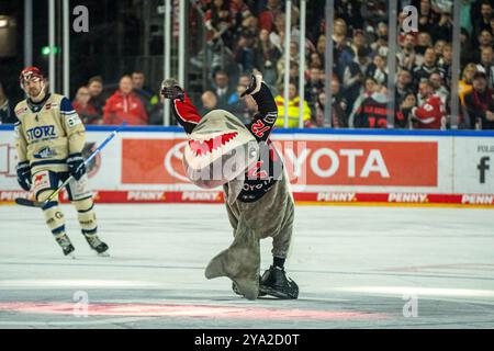 Koeln, Germania. 11 ottobre 2024. Maskottchen der Koelner Haie Koelner Haie vs. Schwenninger Wild Wings, Eishockey, Deutsche Eishockey-Liga, Penny DEL, 8. Spieltag, Saison 2024/2025, 11.10.2024 foto: Eibner-Pressefoto/Justin Derondeau credito: dpa/Alamy Live News Foto Stock