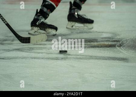 Koeln, Germania. 11 ottobre 2024. Koelner Haie vs. Schwenninger Wild Wings, Eishockey, Deutsche Eishockey-Liga, Penny DEL, 8. Spieltag, Saison 2024/2025, 11.10.2024 foto: Eibner-Pressefoto/Justin Derondeau credito: dpa/Alamy Live News Foto Stock