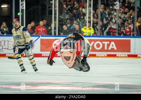 Koeln, Germania. 11 ottobre 2024. Maskottchen der Koelner Haie Koelner Haie vs. Schwenninger Wild Wings, Eishockey, Deutsche Eishockey-Liga, Penny DEL, 8. Spieltag, Saison 2024/2025, 11.10.2024 foto: Eibner-Pressefoto/Justin Derondeau credito: dpa/Alamy Live News Foto Stock