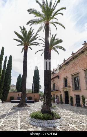 Un cortile soleggiato con alte palme e cipressi su una pavimentazione di ciottoli di fronte a un edificio rosa, Jerez Foto Stock