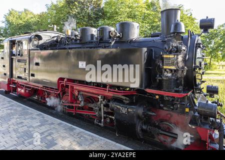 Primo piano di una locomotiva a vapore con tecnologia visibile e vapore, Ruegen, Rasender Roland Foto Stock