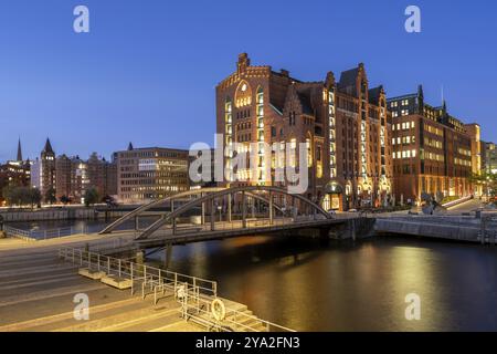 International Maritime Museum Hamburg at the Blue Hour, Hafen City, Amburgo, Germania, Europa Foto Stock