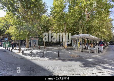 Caffetterie aperte e passanti sotto gli alberi verdi in una strada soleggiata della città, Granada Foto Stock