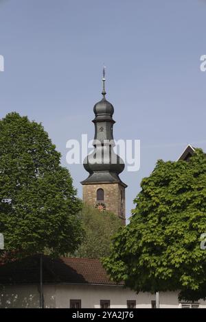 Guglia della chiesa del mercato di Bad bergzabern fotografata attraverso i rami Foto Stock