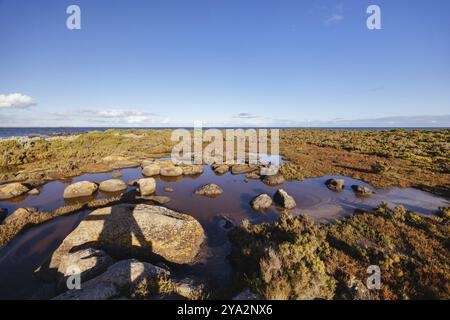 Jawbone Marine Sanctuary in una giornata invernale a Williamstown, Melbourne, Victoria, Australia, Oceania Foto Stock