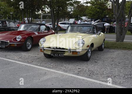 Copenaghen, Danimarca, 2 agosto 2024: Una Jaguar e-TYPE gialla d'epoca al Gran Premio storico di Copenaghen, Europa Foto Stock