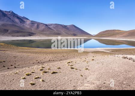 Lagunas Altiplanicas, Miscanti y Miniques, incredibile vista del deserto di Atacama. Cile, Sud America Foto Stock