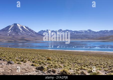 Lagunas Altiplanicas, Miscanti y Miniques, incredibile vista del deserto di Atacama. Cile, Sud America Foto Stock