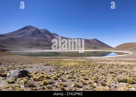 Lagunas Altiplanicas, Miscanti y Miniques, incredibile vista del deserto di Atacama. Cile, Sud America Foto Stock