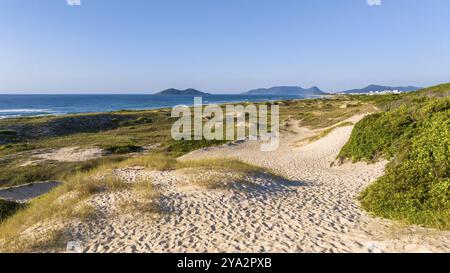 Florianopolis, spiaggia di Campeche all'alba. Brasile. Quartiere di Rio Tavares Foto Stock