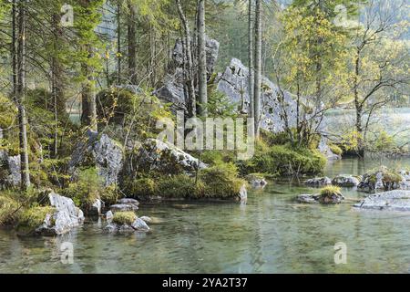 Foresta incantata a Hintersee in Baviera con massi provenienti da una frana. Ramsau vicino a Berchtesgaden. Zauberwald (Foresta Magica) sul lago di montagna Hin Foto Stock