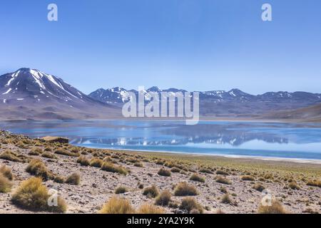 Lagunas Altiplanicas, Miscanti y Miniques, incredibile vista del deserto di Atacama. Cile, Sud America Foto Stock