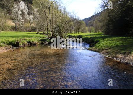 Corso idilliaco del fiume teinach vicino a Bad teinach nella foresta nera Foto Stock