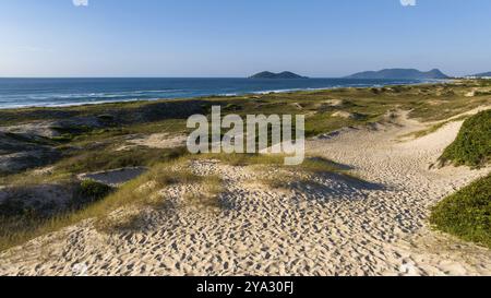 Florianopolis, spiaggia di Campeche all'alba. Brasile. Quartiere di Rio Tavares Foto Stock