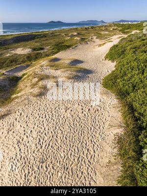 Florianopolis, spiaggia di Campeche all'alba. Brasile. Quartiere di Rio Tavares Foto Stock