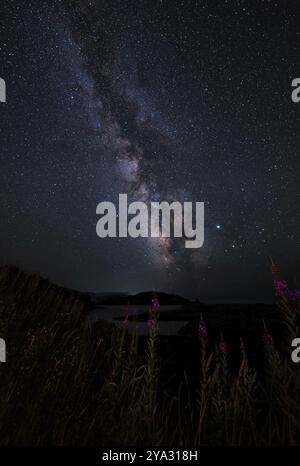 La via Lattea vista dal nord della California, Stati Uniti. Immagine a colori Foto Stock